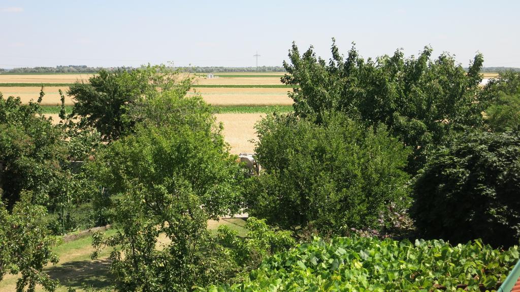 Pension Lang Sankt Andrä bei Frauenkirchen Εξωτερικό φωτογραφία